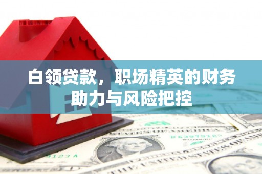 甘州白领贷款,职场精英的财务助力与风险把控 甘州白领贷款,职场精英的财务助力与风险把控